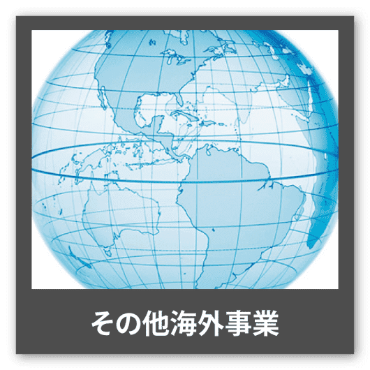 その他海外事業